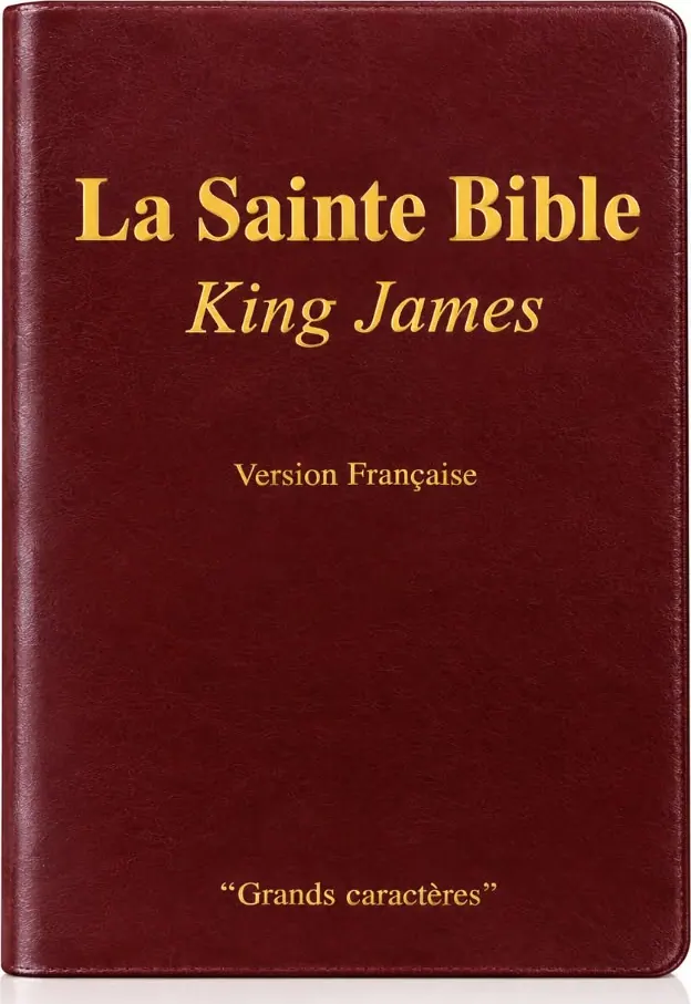 Couverture du livre « La Sainte Bible King James »