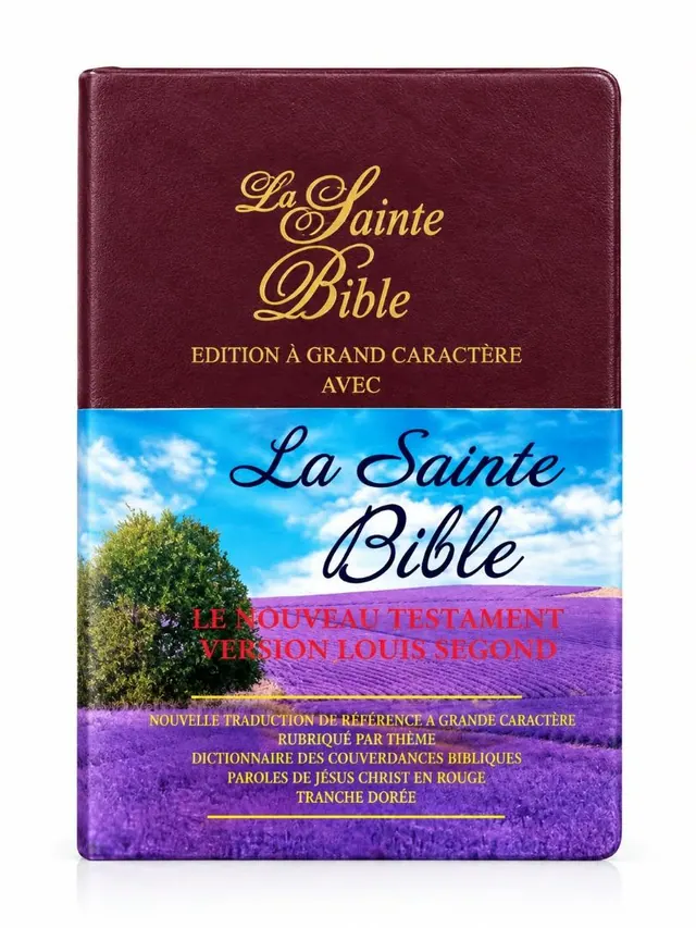 « La Sainte Bible » en situation